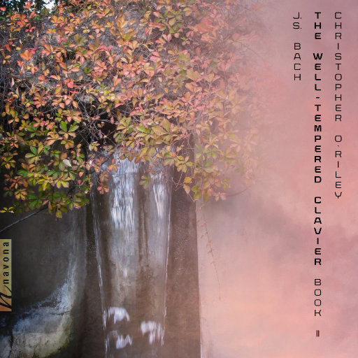 巨乳诱惑护士自慰
